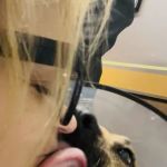 Donaldson Animal Hospital