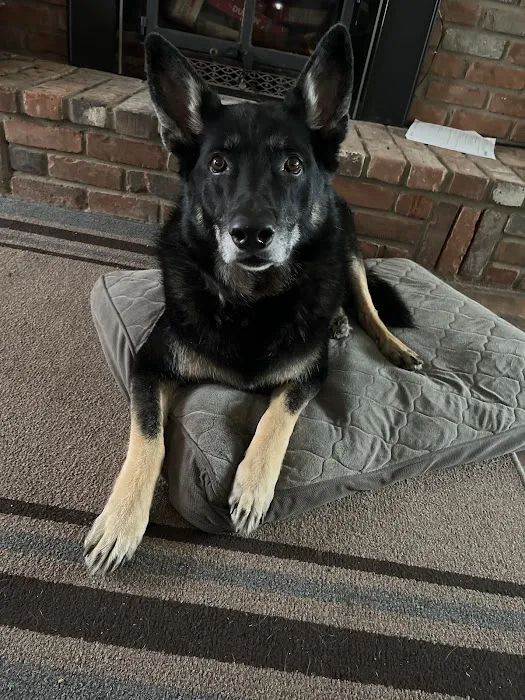 Orion Animal Care Center Picture 9