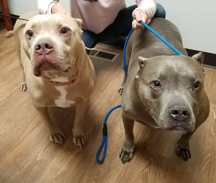 Orion Animal Care Center Picture 10