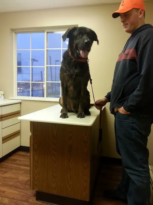 Brinker Veterinary Hospital Picture 1