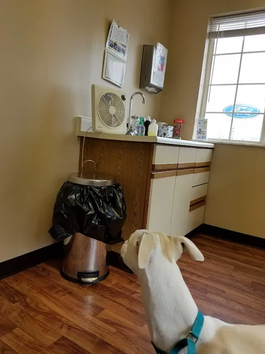Brinker Veterinary Hospital Picture 4