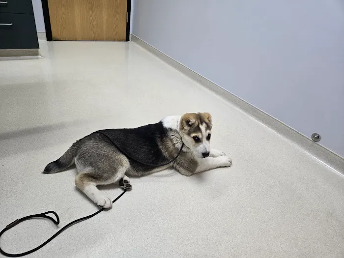 Richmond Veterinary Hospital Picture 8