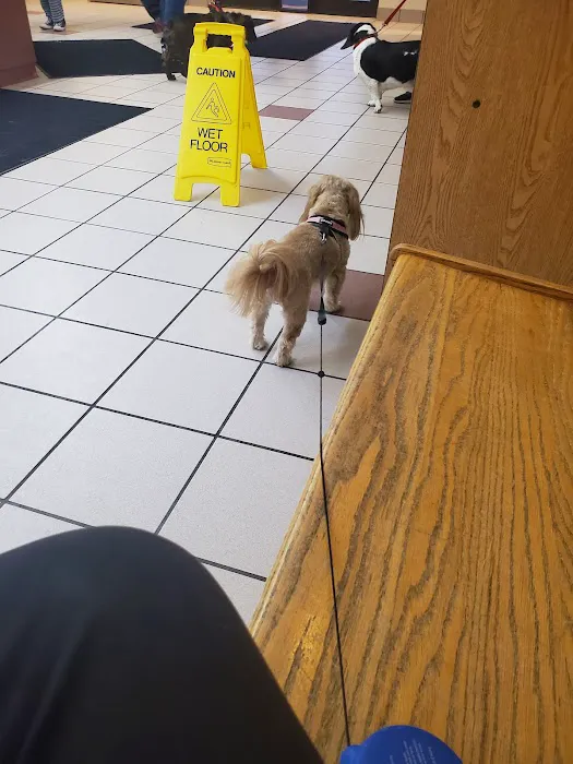 Richmond Veterinary Hospital Picture 1