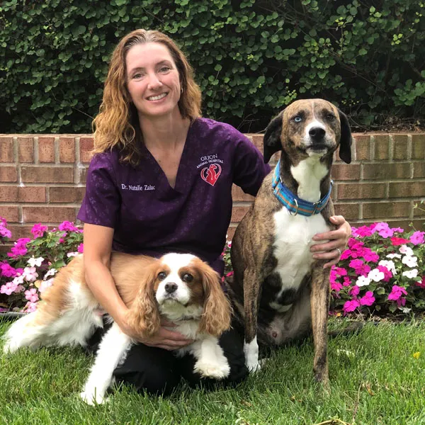 Orion Animal Hospital Picture 1