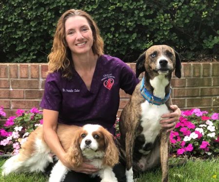 Orion Animal Hospital