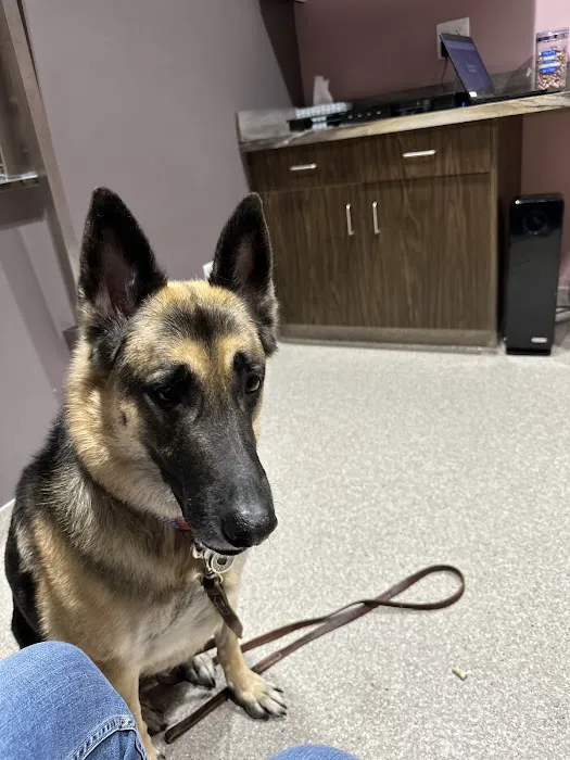 Orion Animal Hospital Picture 4
