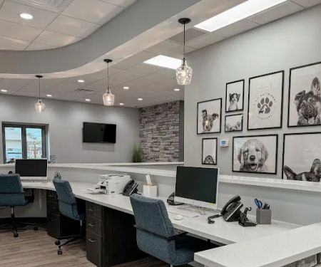 Dixie Veterinary Hospital
