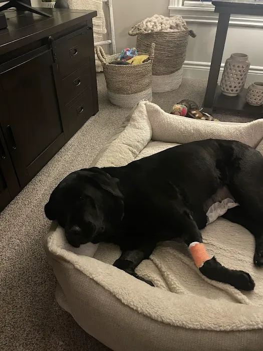 Dixie Veterinary Hospital Picture 9