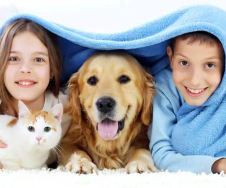 Clarkston Veterinary Clinic
