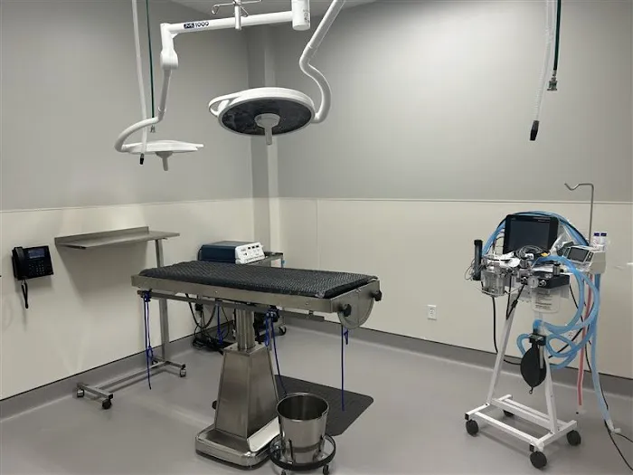 VCA White Lake Animal Hospital Picture 9