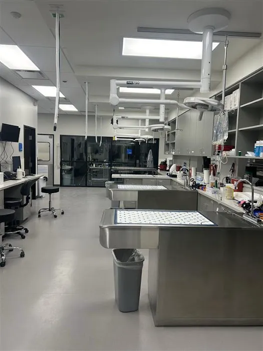 VCA White Lake Animal Hospital Picture 2