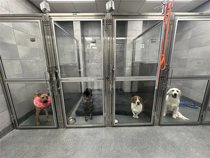 VCA White Lake Animal Hospital Picture 8