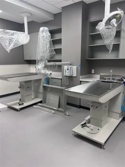 VCA White Lake Animal Hospital Picture 10
