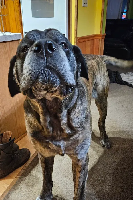 Mitten Animal Hospital Picture 7