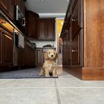 Clarkston Animal Medical Center