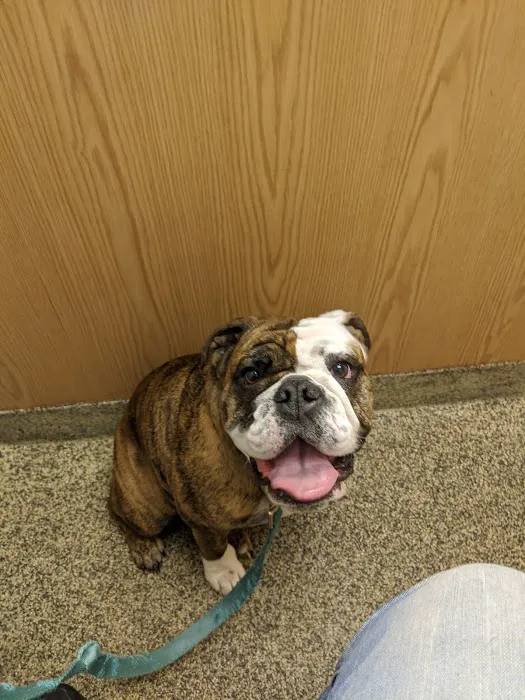 Clarkston Animal Medical Center Picture 8