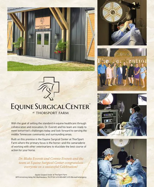Equine Surgical Center at ThorSport Farm Picture 7