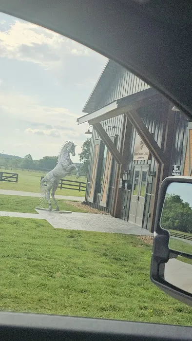 Equine Surgical Center at ThorSport Farm Picture 4