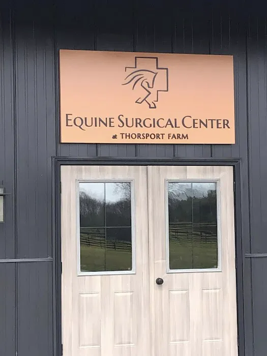 Equine Surgical Center at ThorSport Farm Picture 8