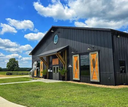 Equine Surgical Center at ThorSport Farm