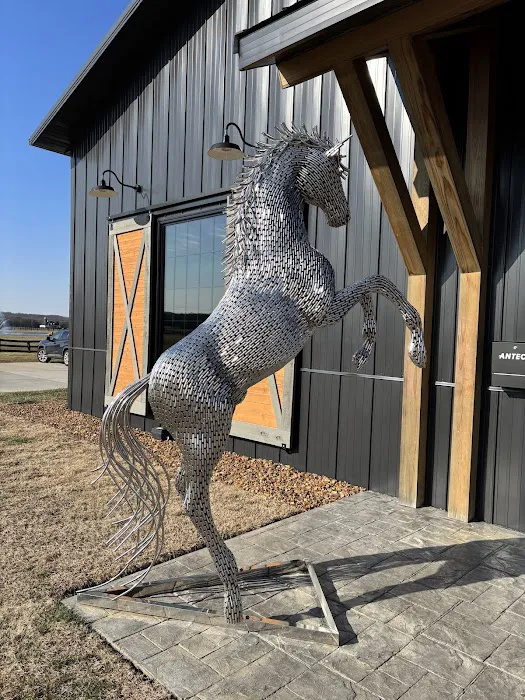 Equine Surgical Center at ThorSport Farm Picture 6