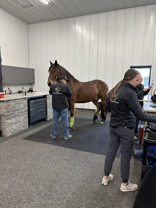Equine Surgical Center at ThorSport Farm Picture 5