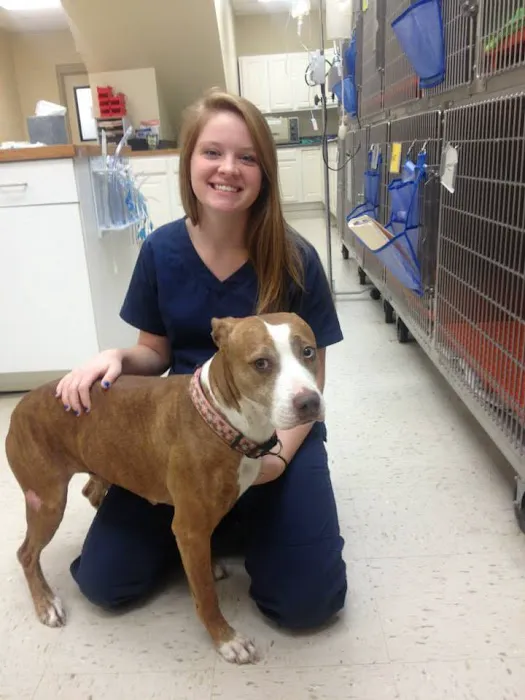 Barfield Animal Hospital Picture 7