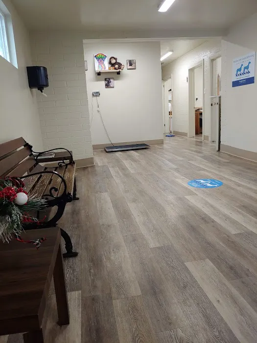 Sun Valley Hope Animal Hospital Picture 5