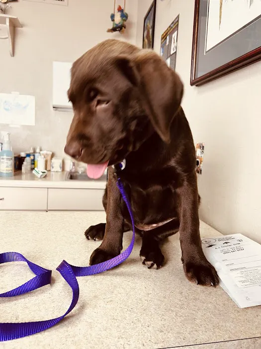 Valley West Animal Hospital Picture 9