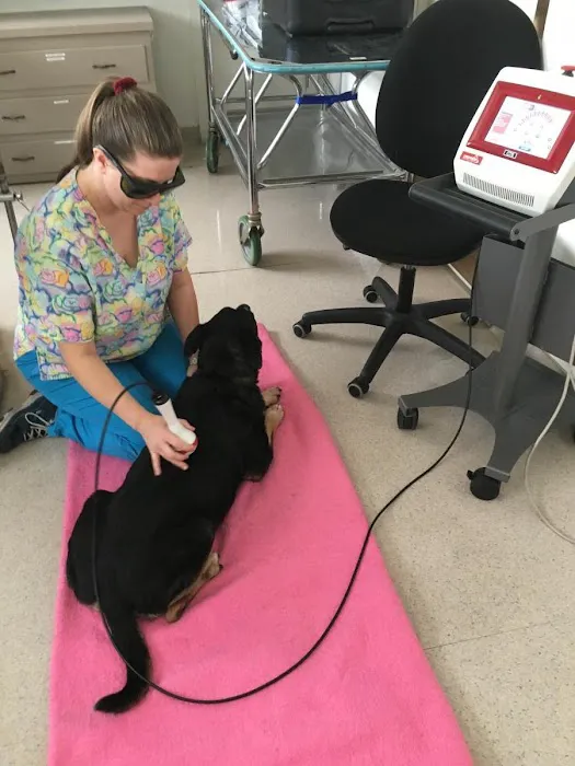 Valley West Animal Hospital Picture 7