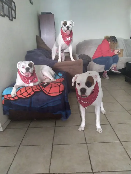 Valley West Animal Hospital Picture 8