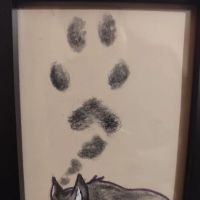 Northern Regional Veterinary Hospital ico