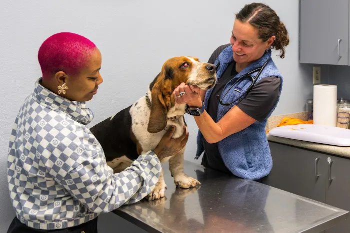 Northern Regional Veterinary Hospital Picture 7