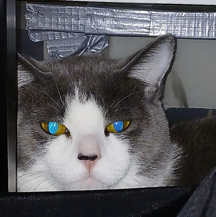 Arizona Humane Society Veterinary Clinic at Sunnyslope Campus Picture 9