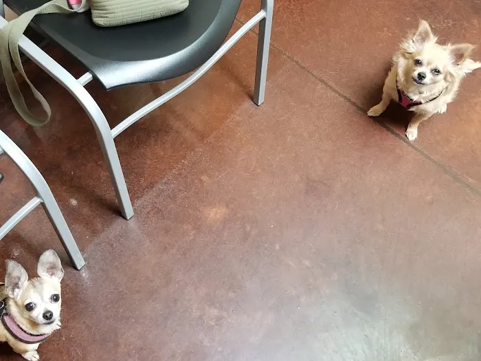 Westridge Animal Hospital Picture 5