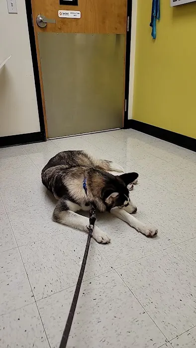 Banfield Pet Hospital Picture 1