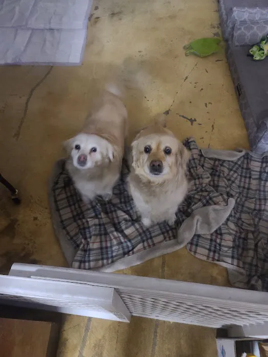 Banfield Pet Hospital Picture 2