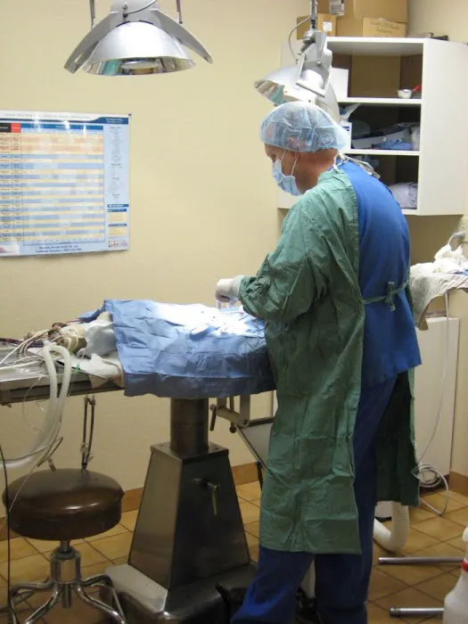 VCA Mountain View Animal Hospital Picture 9