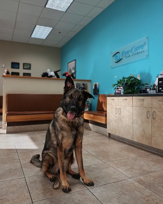 Eye Care for Animals - Avondale Picture 6