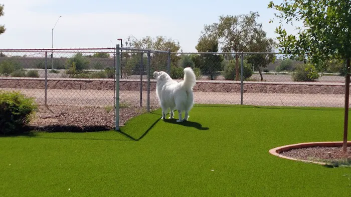 Eye Care for Animals - Avondale Picture 4