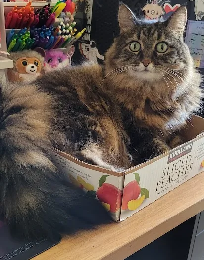 BluePearl Pet Hospital Picture 3
