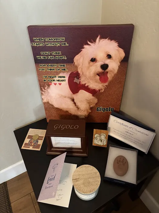 BluePearl Pet Hospital Picture 8