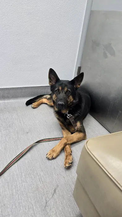 Agua Fria Animal Hospital Picture 1
