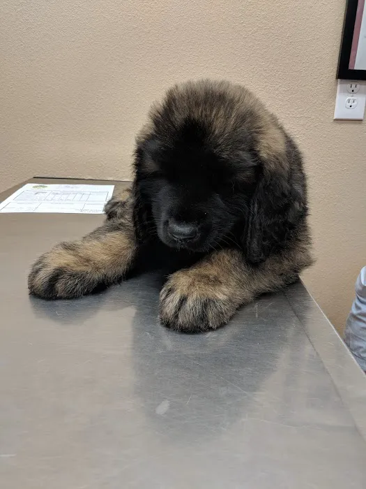 Agua Fria Animal Hospital Picture 2