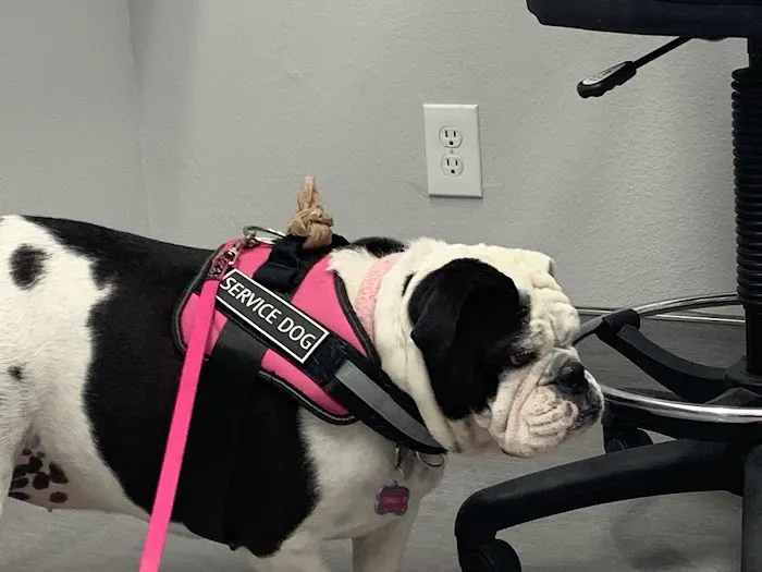 Agua Fria Animal Hospital Picture 4