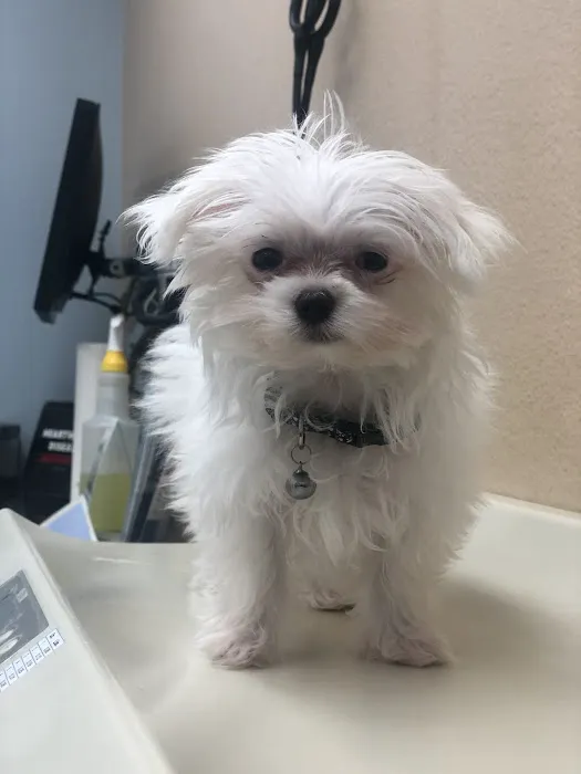 Agua Fria Animal Hospital Picture 3