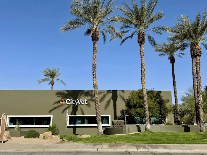CityVet | Goodyear Picture 10