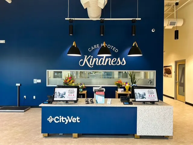 CityVet | Goodyear Picture 7