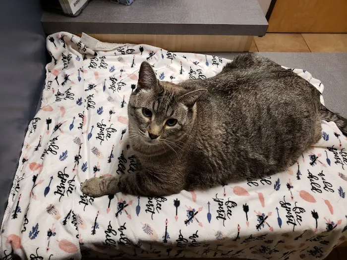 Camelwest Animal Hospital Picture 8