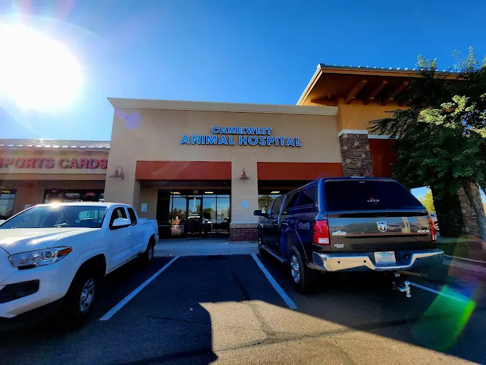 Camelwest Animal Hospital Picture 5